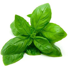Load image into Gallery viewer, Pasta Sauce Gourmet Fresh Basil
